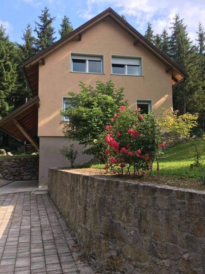 Apartmaji Velikonja Ajdovščina Kültér fotó