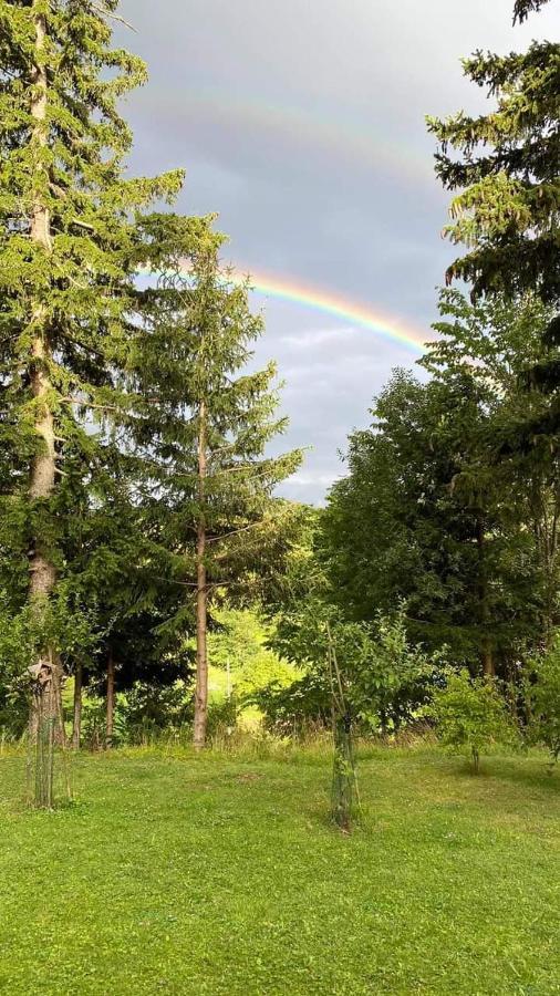 Apartmaji Velikonja Ajdovščina Kültér fotó
