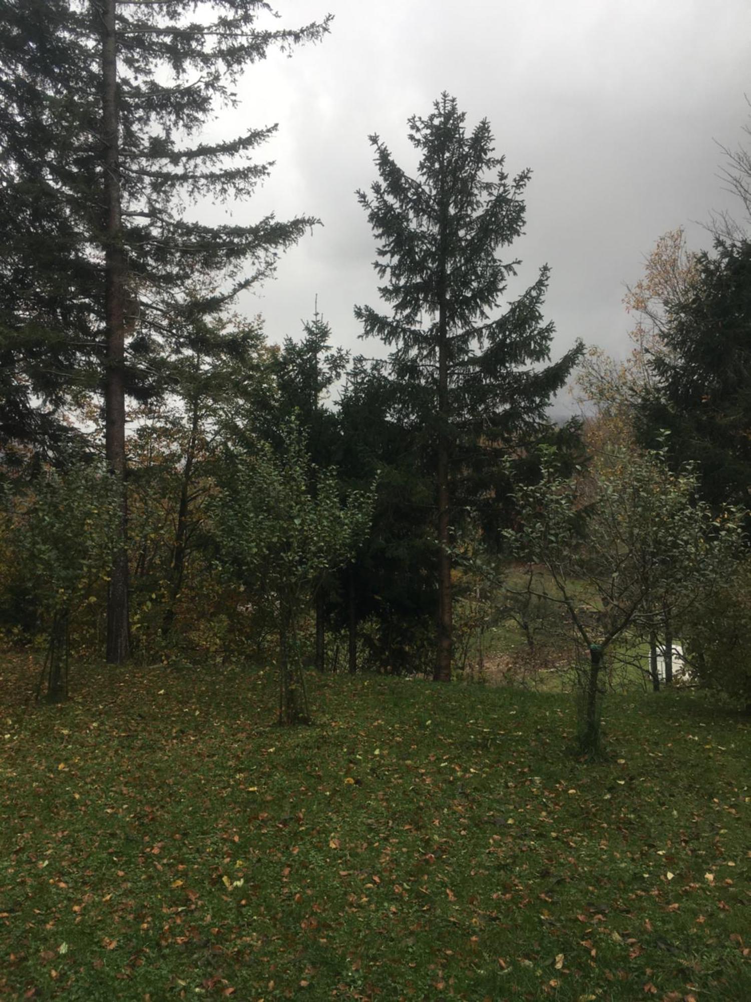 Apartmaji Velikonja Ajdovščina Kültér fotó