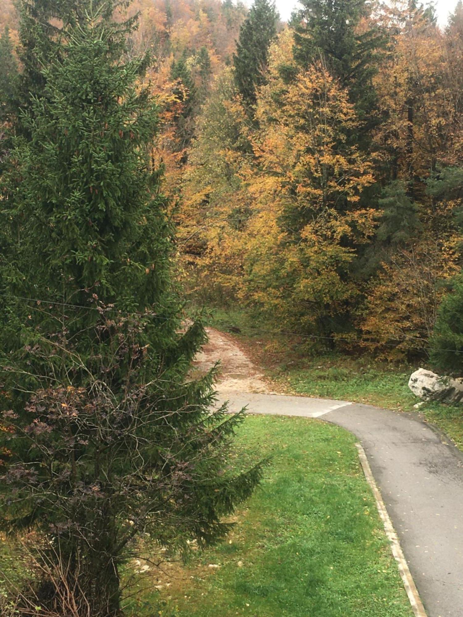 Apartmaji Velikonja Ajdovščina Kültér fotó